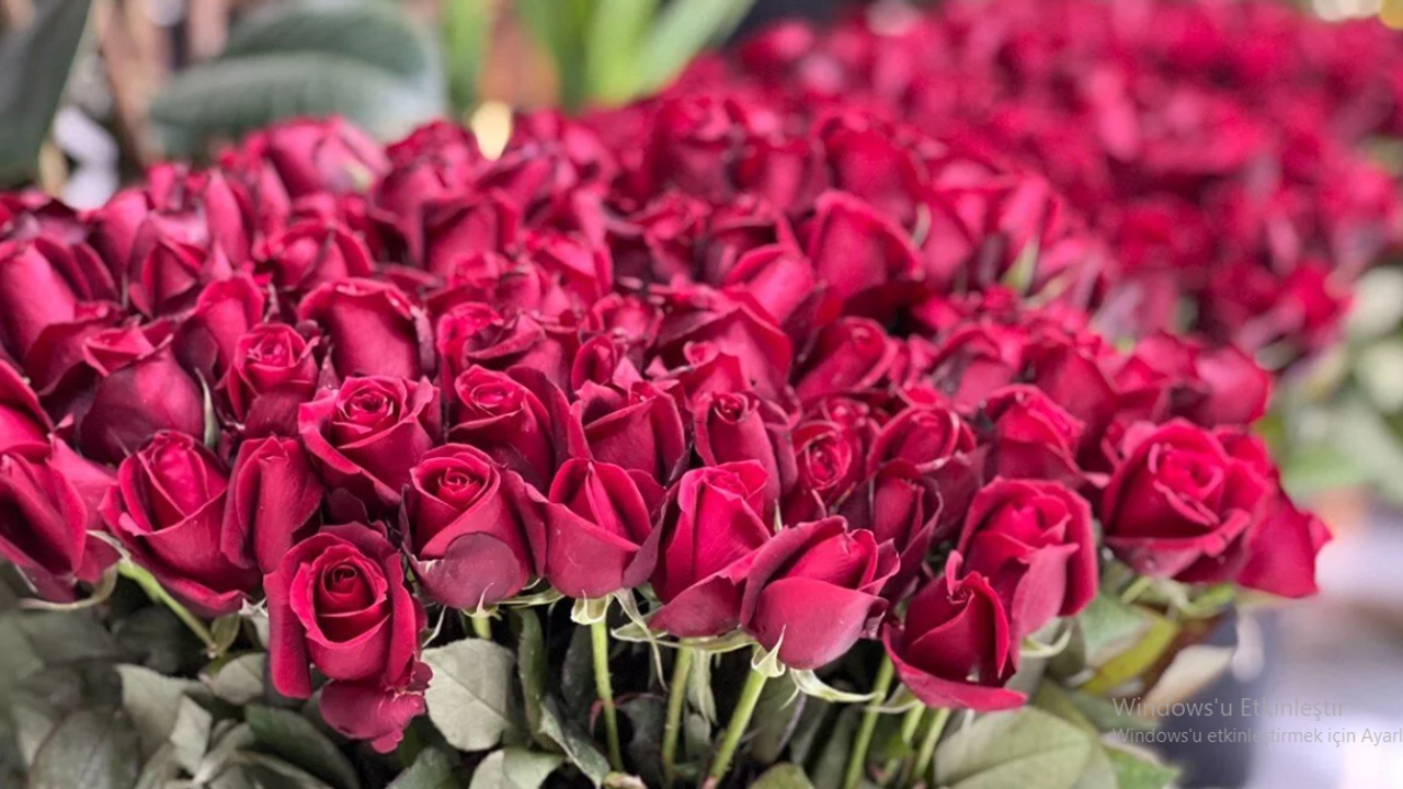 Sevgililer Günü çiftlerin cebini yakacak: Güllerin tanesi 150 TL
