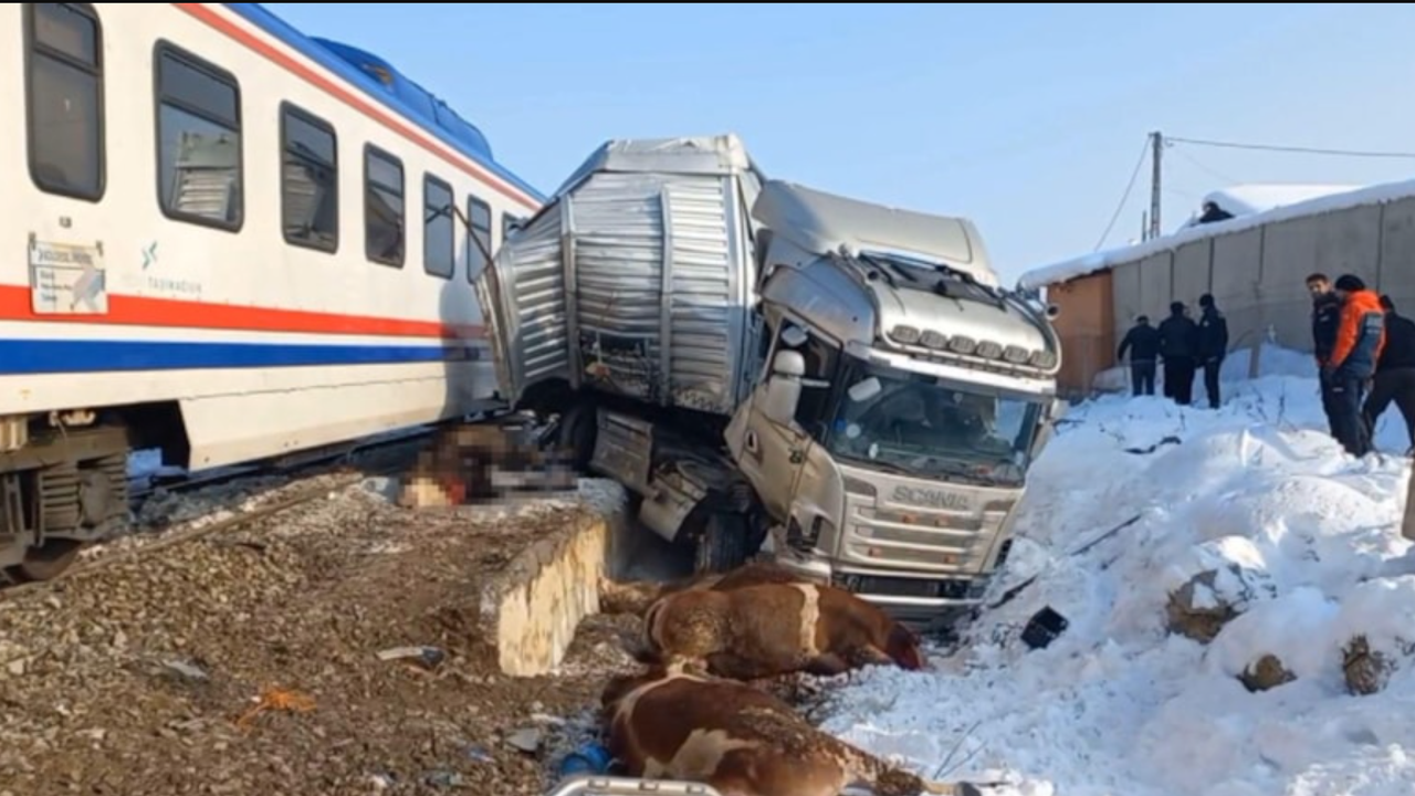 Muş'ta Tren ile TIR Çarpıştı: 2 Kişi ve 25 Boğa hayatını kaybetti