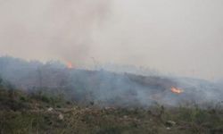 Hatay'da orman yangını: 2 kişi gözaltına alındı
