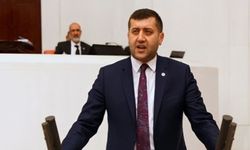 Partisinden istifa eden Ersoy'a, MHP'li isimden destek