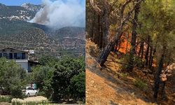 Datça'da orman yangını: Ekiplerin müdahalesi sürüyor