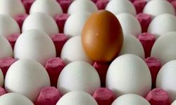 Yumurta fiyatları fırladı: Bir yılda yüzde 250 artış