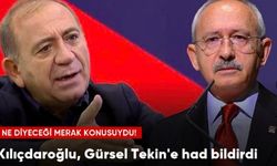Kılıçdaroğlu'dan "HDP'ye bakanlık verilebilir" diyen Gürsel Tekin açıklaması: Yetkisi olmayan konuda konuşmuş