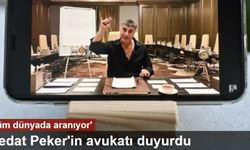 Sedat Peker'in avukatı Ersan Barkın: Kırmızı bülten 'tüm dünyada aranıyor'a çevrildi