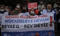 Erdoğan “giderlerse gitsinler” demişti, Türk doktorlar Fransız medyasına konuştu