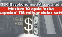 HSBC Başekonomisti Aksoy'a göre: Merkez 10 ayda 'arka kapıdan' 118 milyar dolar sattı
