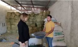 İlay Aksoy: Suriyelilere verilen ücretsiz gıdaları yurttaşlarımız Suriyelilerden satın alıyor