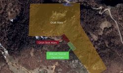 Karayolları Bafra’da kalker ocağı kuruyor: Tamamı ormanlık alan