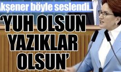 Meral Akşener, Cumhuriyet'i hedef alan AKP'li Ünal'a ateş püskürdü