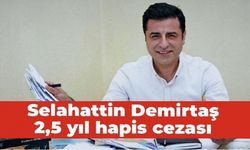 Selahattin Demirtaş'a 2,5 yıl hapis cezası