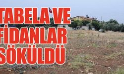 AKP’li müteahhit şehit ormanına göz dikti: Adım adım işgal...