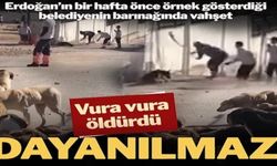 Konya’da vahşet: Kürekle vura vura öldürdü