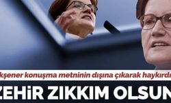 Meral Akşener konuşma metninin dışına çıkarak haykırdı: 'Zehir zıkkım olsun Erdoğan!'