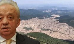 Cengiz Holding, Kazdağları'nda kıyıma hazırlanıyor: ÇED raporu görüşe açıldı