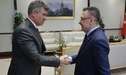 Cumhurbaşkanı Yardımcısı Oktay, Büyükelçi Feyzioğlu'nu kabul etti