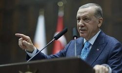 "Erdoğan çok özgüvenli, çok baskın ama çok karizmatik değil"