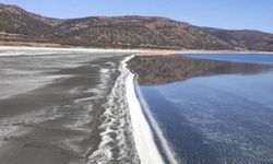 Uzmanlar, Salda Gölü'nde doğal olmayan müdahalelerle ekosistemin çökertildiğini vurguladı