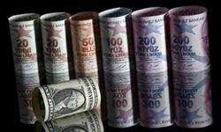 Dev banka: Erdoğan seçilirse dolar 36’ya çıkabilir