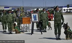 Türkiye'de arama kurtarma çalışmaları sırasında ölen Proteo için Meksika'da tören düzenlendi