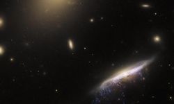 Hubble Uzay Teleskobu denizanası galaksisini görüntüledi