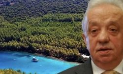 Mahkeme Cengiz’e ‘devam et’ dedi: Cennet Koyu’nda iptal edilen ruhsata yürütmeyi durdurma kararı