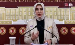 'Tehdit ediliyorum' diyen AK Partili Özlem Zengin'e DEVA'dan destek