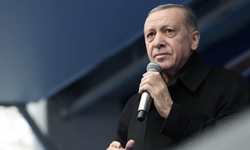ABD medyasından Erdoğan’a yeni unvan: Mikroyönetim Müdürü