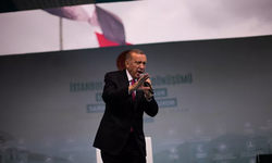Erdoğan rahatsızlığı nedeniyle üçüncü günkü seçim programını da iptal etti