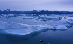 Grönland ve Antarktika'da 30 yıl öncesine göre üç kat daha fazla buz kaybı var