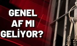 AK Partili Vekil: Genel af değil ancak bir af çalışması var, bir af gelebilir