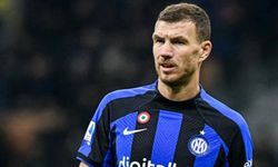  Edin Dzeko, Fenerbahçe'de