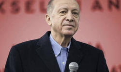 Erdoğan, milletvekili olan eski bakanları 'teselli için' komisyonlarda görevlendirdi