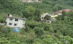 Trabzon’da korkutan görüntü: Vatandaşlar endişeli