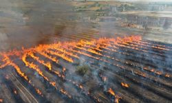 20 günde 930 dönüm buğday tarlası yandı