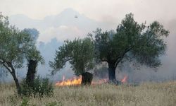Antalya’da yine yangın! İtfaiye ekipleri bölgeye sevk edildi