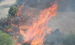 Adana'da Yangın