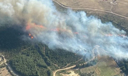 İzmir'in Çeşme ilçesinde orman yangını çıktı!