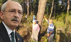 Kemal Kılıçdaroğlu Akbelen'de!