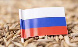 Rusya, tahıl koridoru anlaşması için şartlarını açıkladı