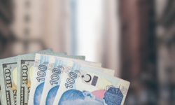 Türk Lirası değer kaybıyla  Ruble ve Peso'yu Solladı