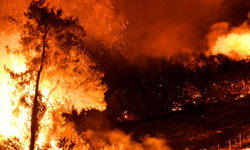 5 ilde orman yangını! Balıkesir, Adana, Kahramanmaraş, İzmir ve Edirne Yanıyor
