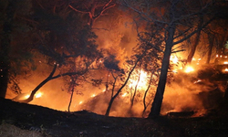 Adana’da Orman Yangını!