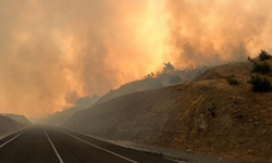 Deprem Bölgesi Maraş'ta Orman Yangını!