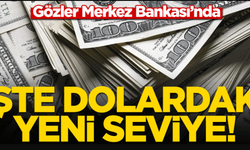 Dolarda gözler "Merkez Bankası"nda!