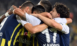 Fenerbahçe Twente'yi 1-0 yendi