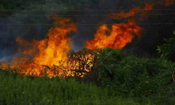 Hatay Antakya'da orman yangını çıktı!