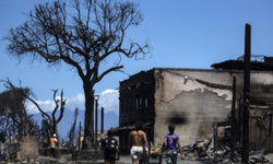 Hawaii'deki yangınların yeniden inşa maliyeti milyarları bulacak