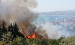 İstanbul'da Otluk Alanda Yangın Çıktı!