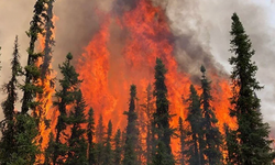 Kanada'da Orman Yangınları!