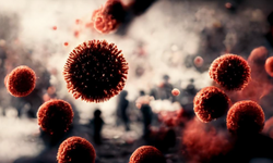 Koronavirüs benzeri Eris 51 ülkeye yayıldı